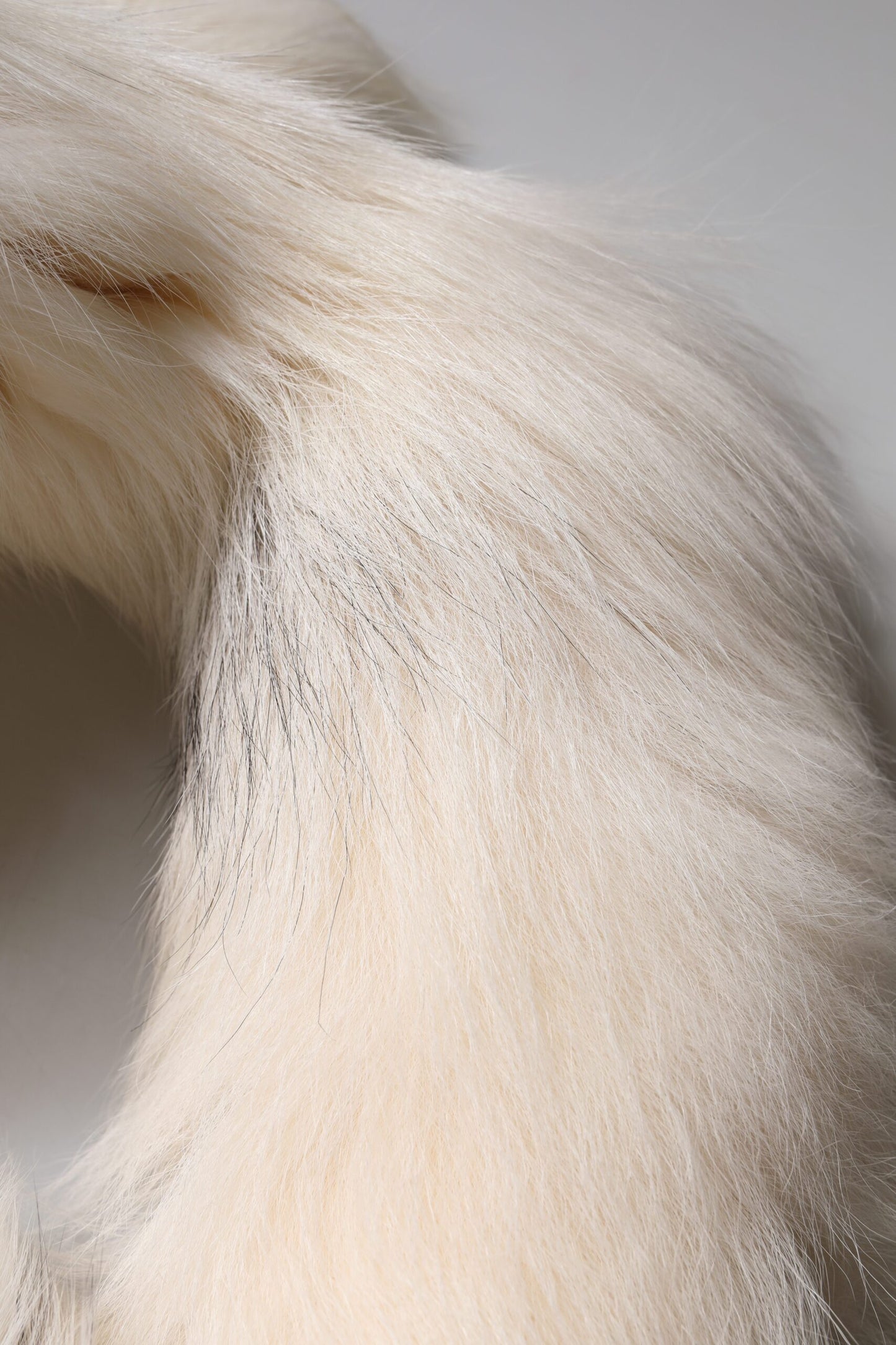 وشاح شتوي دافئ من فرو الثعلب الأبيض من دولتشي آند غابانا