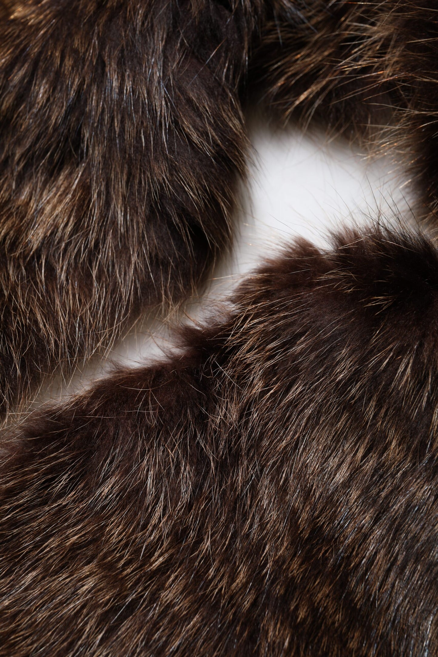 وشاح شتوي دافئ للرقبة من فرو الراكون البني من دولتشي آند غابانا